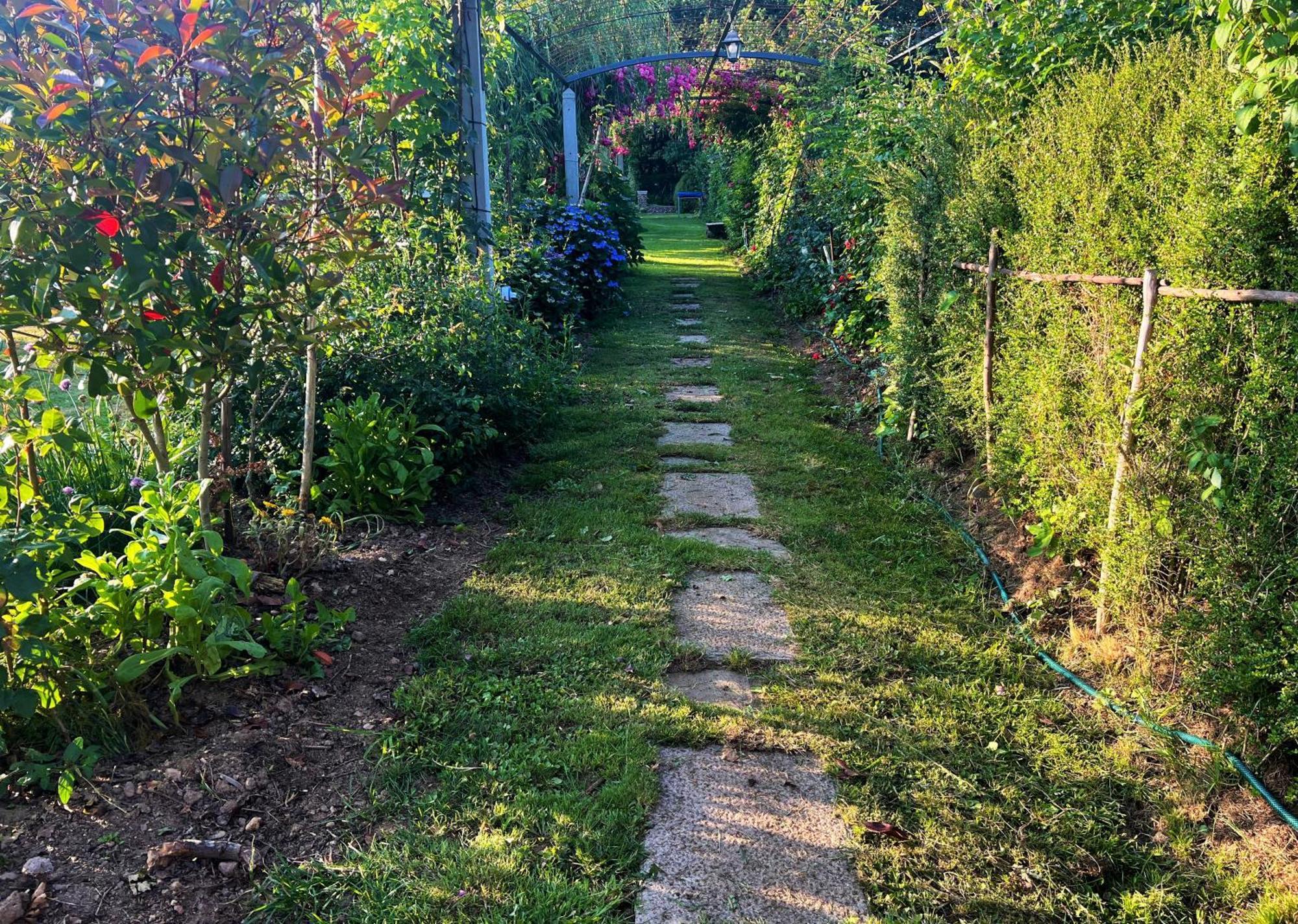 Villa Albaredo Villameá Εξωτερικό φωτογραφία