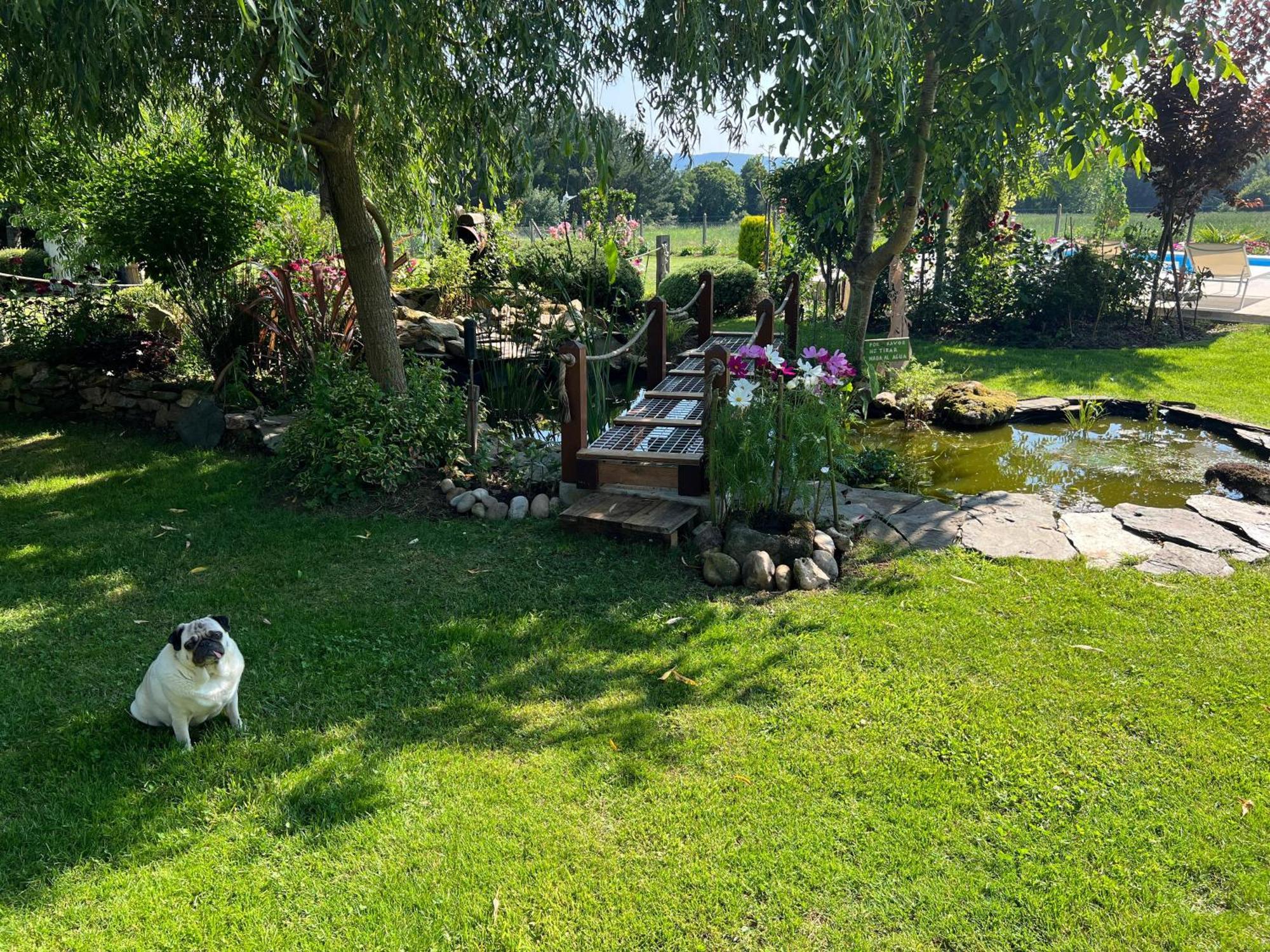 Villa Albaredo Villameá Εξωτερικό φωτογραφία