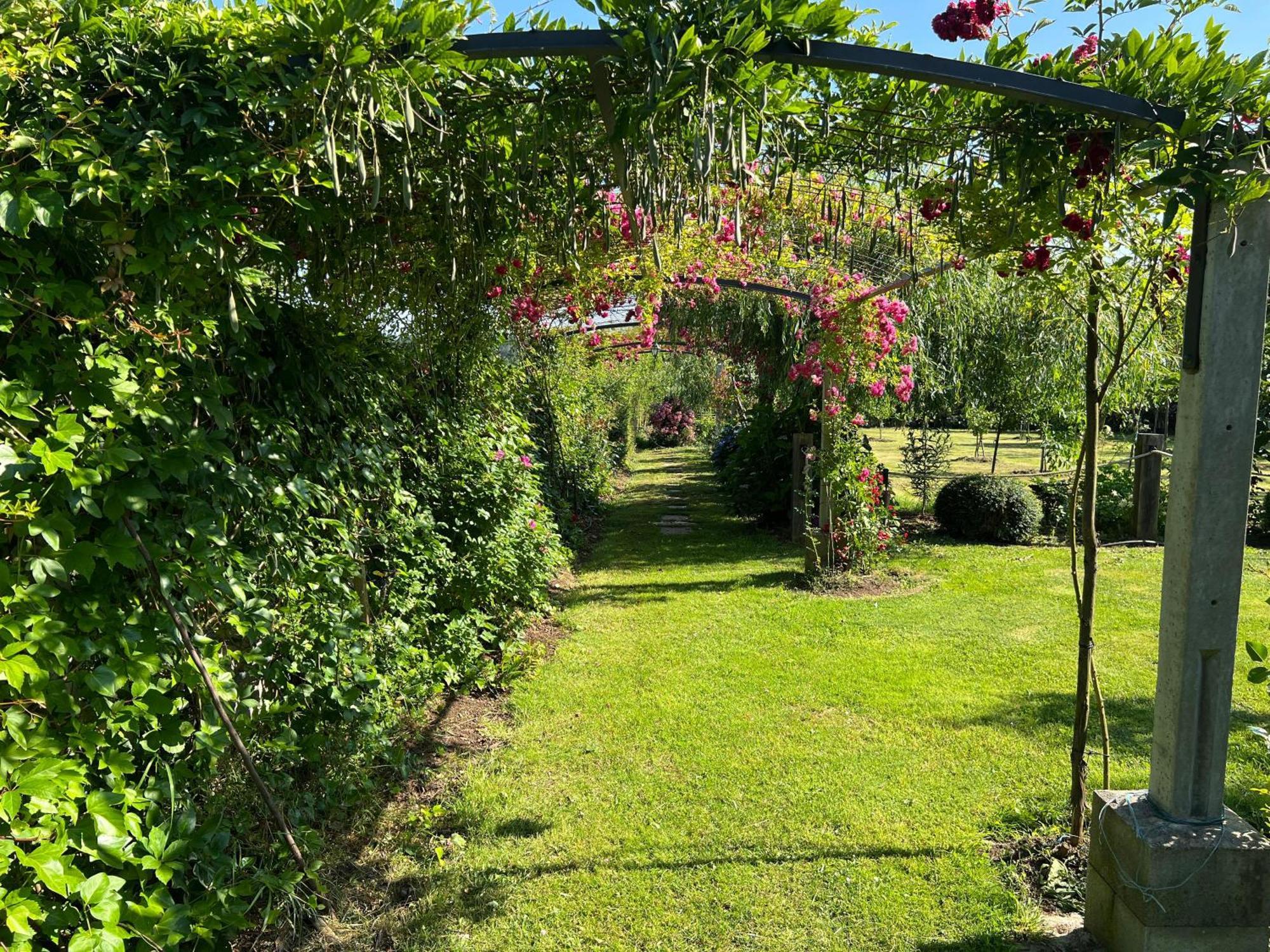 Villa Albaredo Villameá Εξωτερικό φωτογραφία